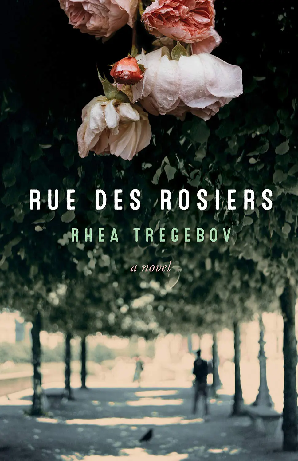 Rue des Rosiers book cover image and purchase link
